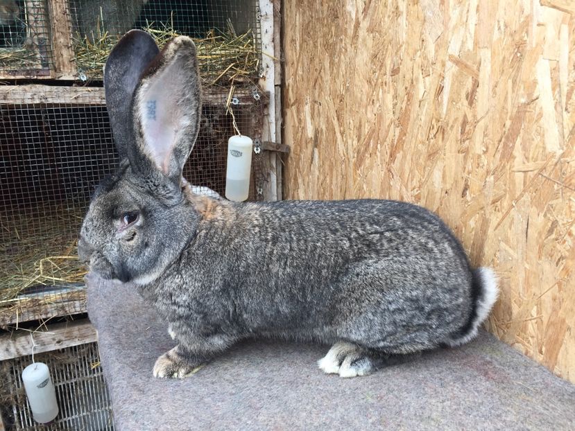 FCC1CCD3-ED9D-44D2-AE8A-288738A0A44B - RO8-1861