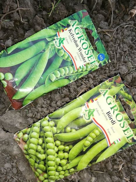  - 00- 2019- De primavara