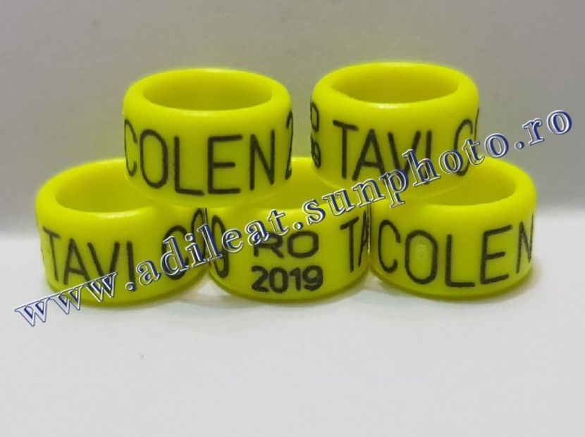 TextArt_190309201026 - 1-A-INELE PERSONALIZATE 2019