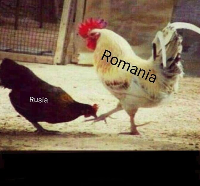 Eurovision 2018 - 2018 Eurovision Song Contest Part 13