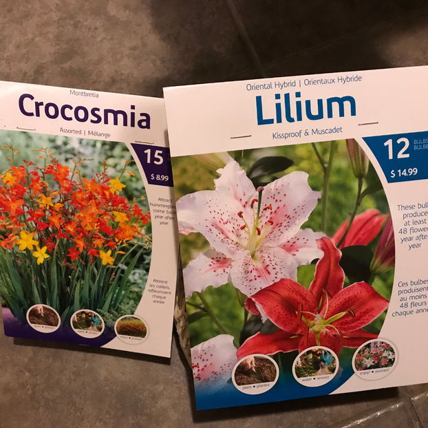  - Jurnalul gradinii 2019