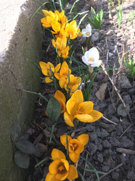 DF0E09B9-A042-4FCA-89DF-15BE29675BE6 - Martie