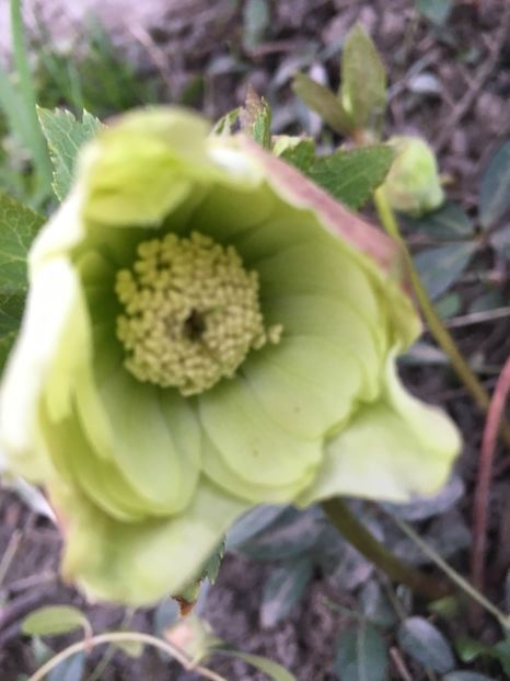 84BBFB82-40FA-4074-B8EF-C9E09559991D - Martie