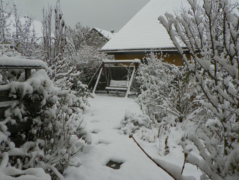 ian (3) - Iarna in gradina