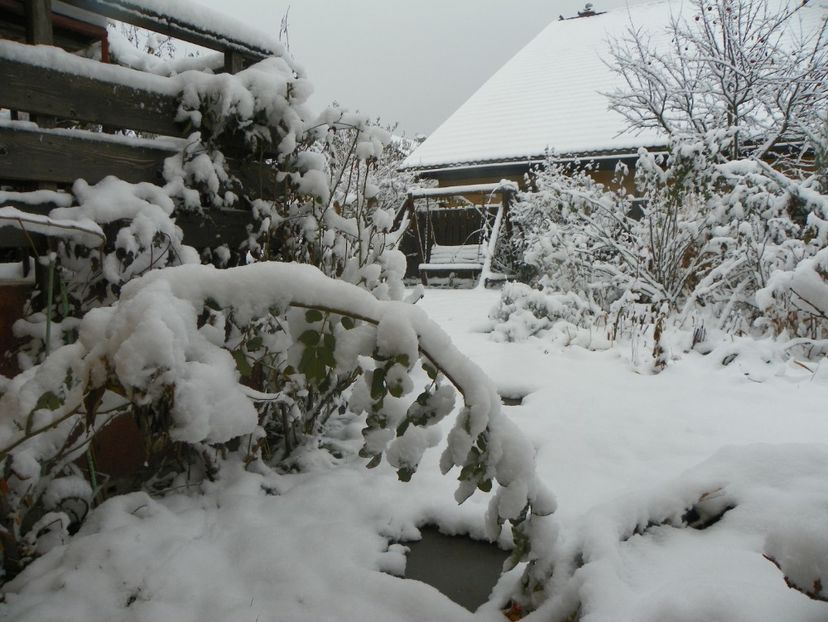 ian (7) - Iarna in gradina