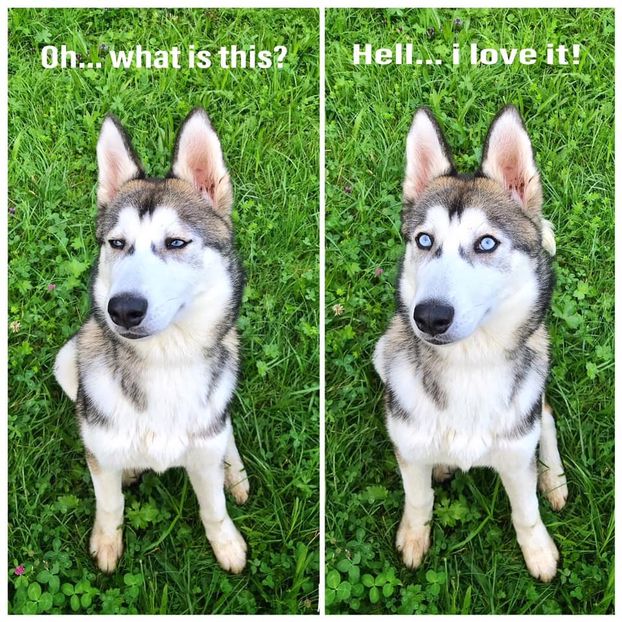 Eurovision 2018 - 2018 Eurovision Song Contest Part 13