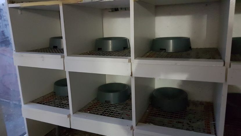  - 0 - Boxe pentru 2019