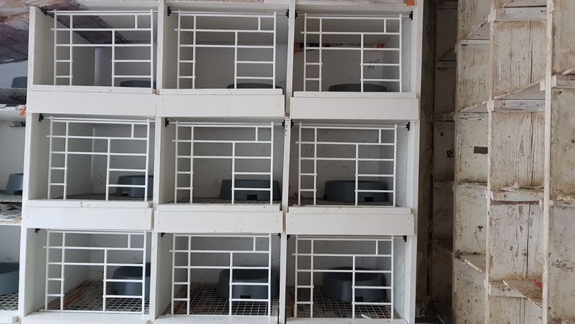  - 0 - Boxe pentru 2019