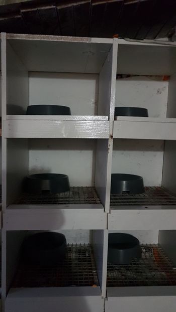  - 0 - Boxe pentru 2019