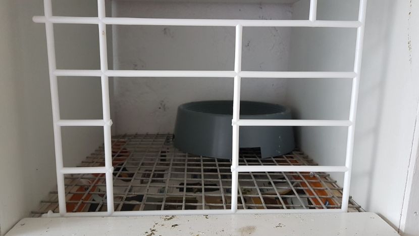  - 0 - Boxe pentru 2019