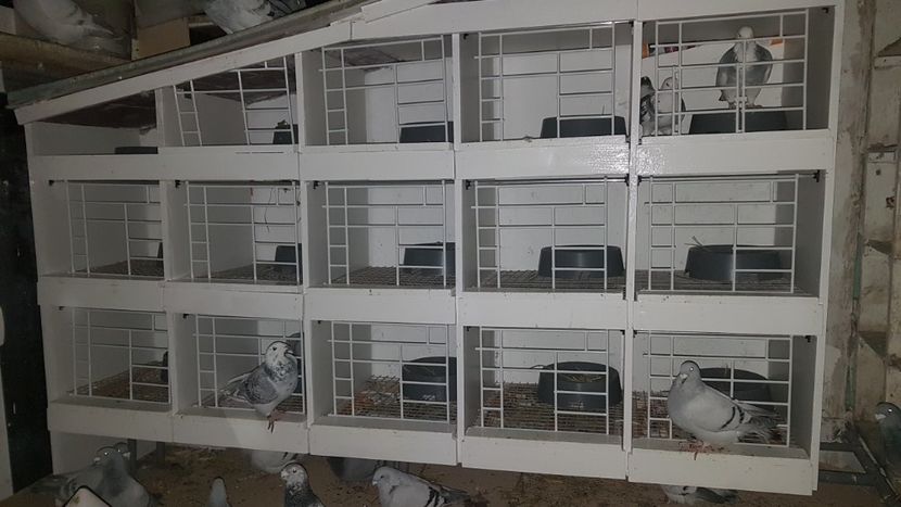  - 0 - Boxe pentru 2019