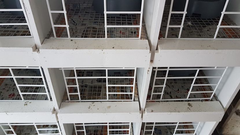  - 0 - Boxe pentru 2019