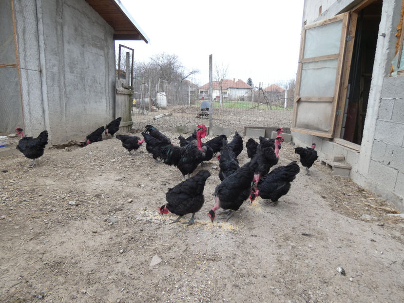 P1000869 - Matca 2019