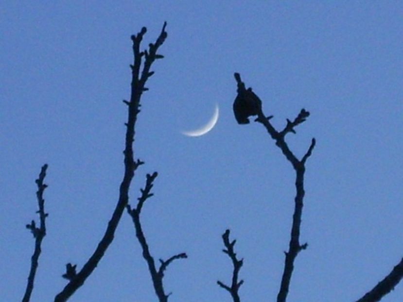 Luna in crestere in Taur - Luna - Soarele si norii - 1