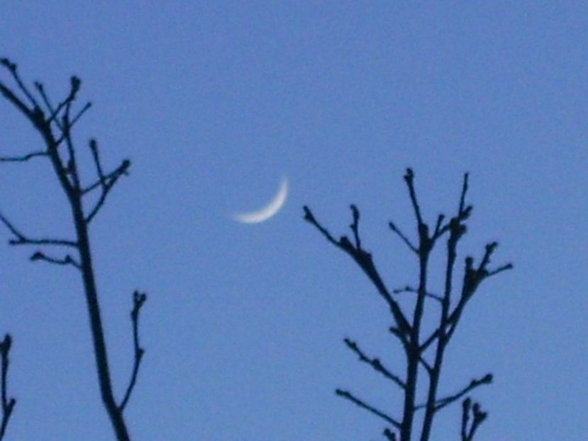 Luna in crestere in Taur - Luna - Soarele si norii - 1
