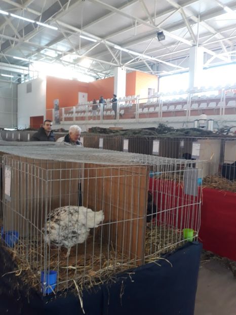  - Expo 2019 Iasi