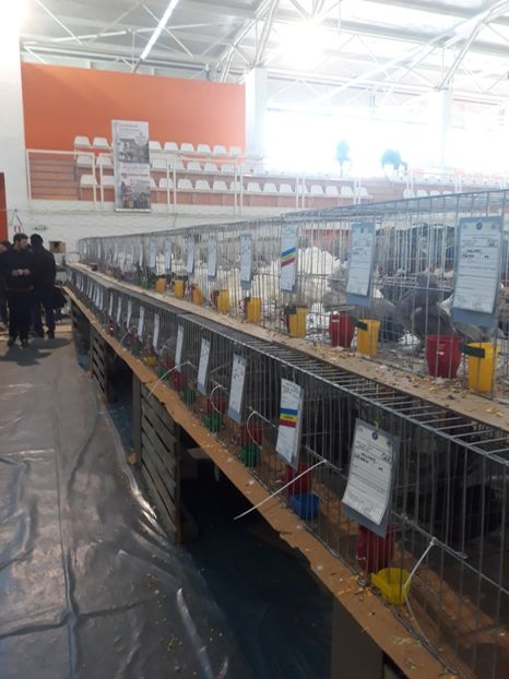  - Expo 2019 Iasi