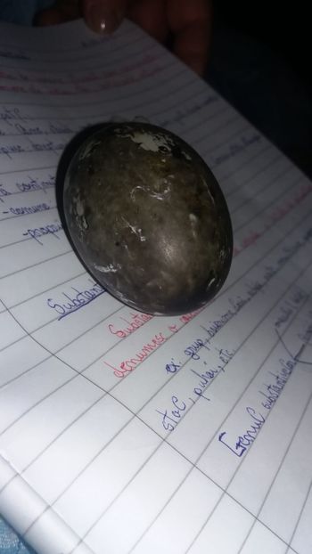 f14f96be-3556-4eca-b73e-563f694fa19a - Palmipede 2019