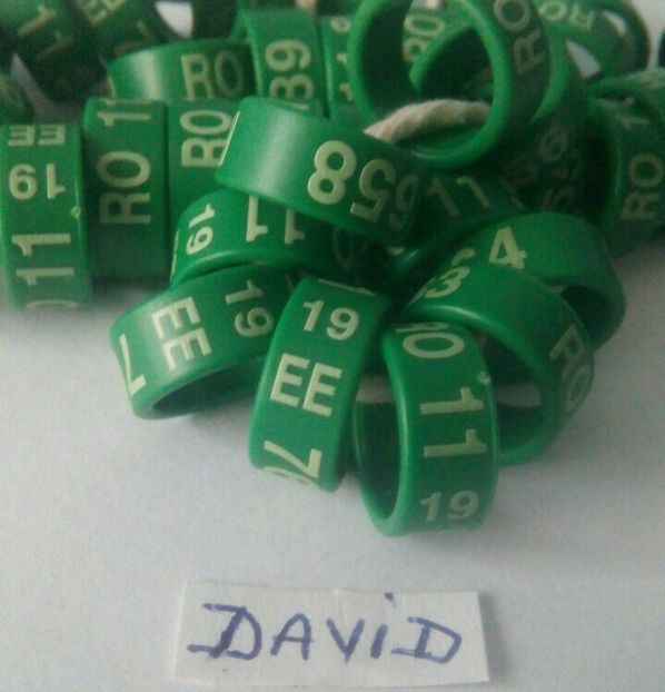 2019- 11 mm EE....-1,3 lei - Inele porumbei 2019 de vanzare