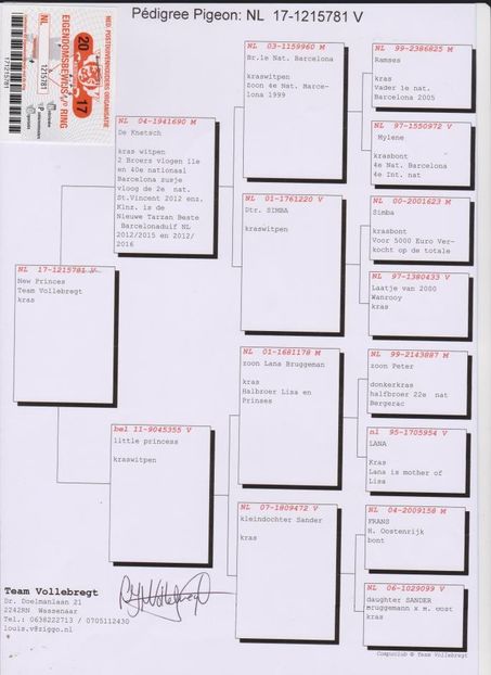 NL 1215781-17 - Porumbei matcă