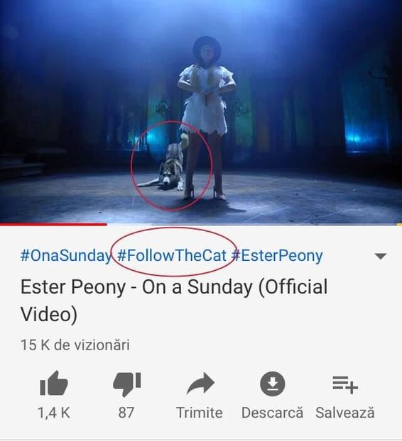 Eurovision 2018 - 2018 Eurovision Song Contest Part 13