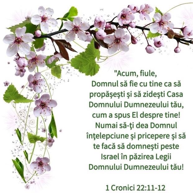 845E532D-244D-456C-9B83-886692C937B4 - Minuni din creatia Domnului