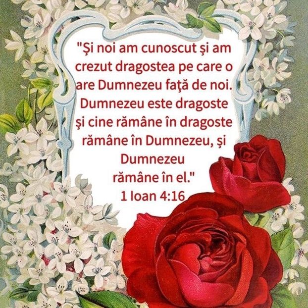 90C168F0-67C6-4C78-BED5-5356F800FEC4 - Minuni din creatia Domnului