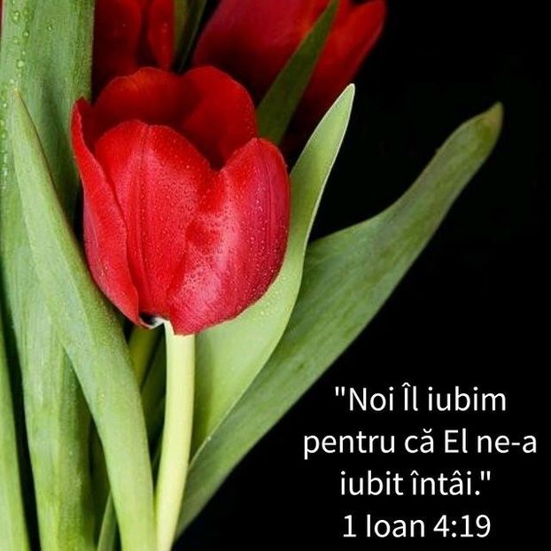603789ED-2E0F-4780-AABF-70CD4265E9C6 - Minuni din creatia Domnului