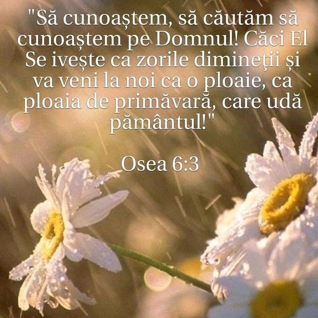 50B53FBA-584E-4863-9AEB-8E1C20EF1B77 - Minuni din creatia Domnului