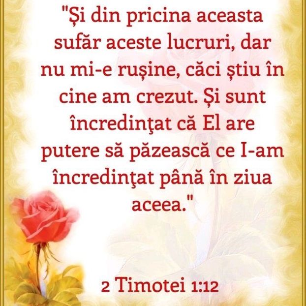 98858EF4-6E7F-4D7A-AC06-16C56F44E8CF - Minuni din creatia Domnului