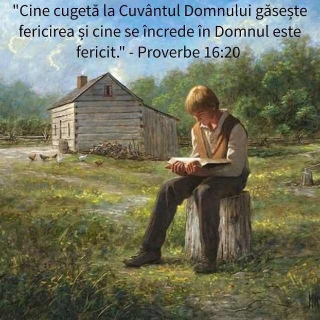 98D59A28-4D53-4D2E-9CB4-338E201AA26F - Minuni din creatia Domnului