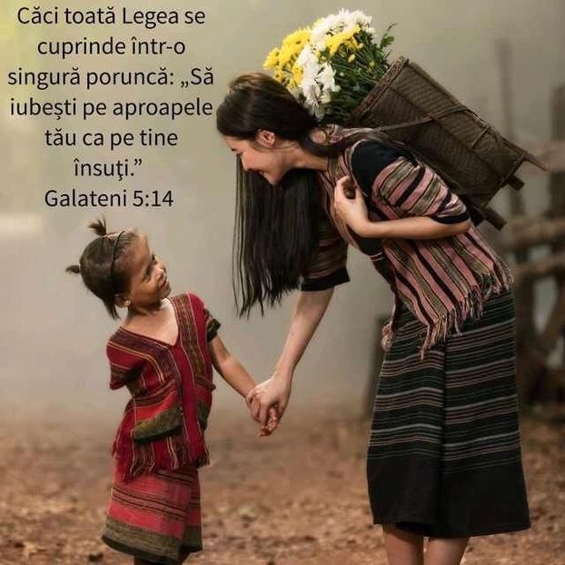 A9F8E69D-4F02-434F-96AC-FA887D3A2A55 - Minuni din creatia Domnului