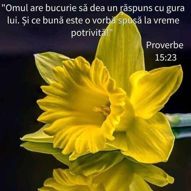 5A91BE03-DC5B-4110-8B6A-4B9EDBCDFBF7 - Minuni din creatia Domnului
