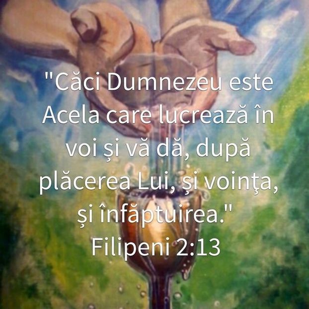 DA11F733-532E-4BDF-8003-E7E086D99842 - Minuni din creatia Domnului