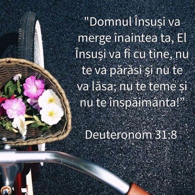 4DE1411F-E6CE-49CF-B662-F47A70138169 - Minuni din creatia Domnului