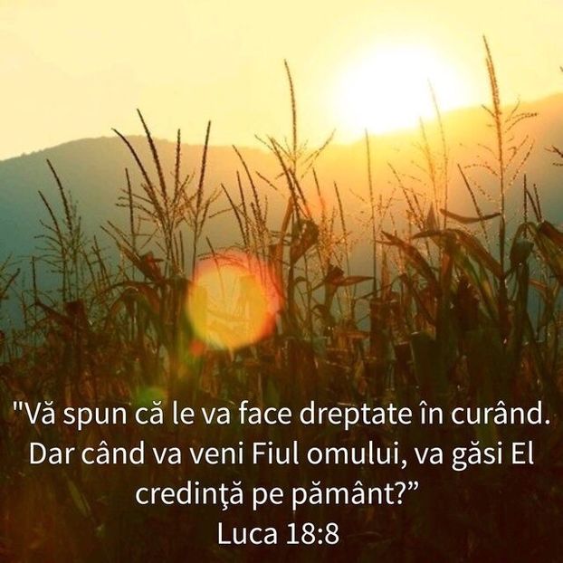 5AC8A3F1-A14D-4BCB-B6D3-91F98ED255A1 - Minuni din creatia Domnului