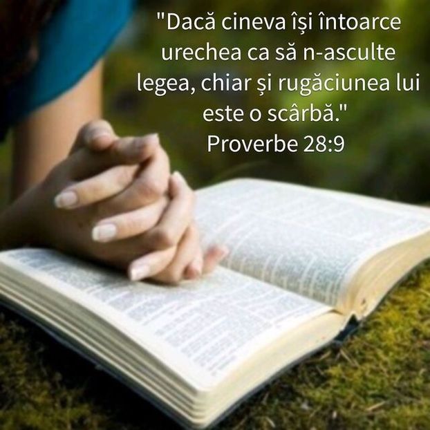 55949475-A03D-402C-9995-45B55B3E4801 - Minuni din creatia Domnului