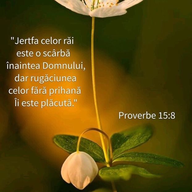 BE1325B2-95AC-435E-8D96-8A9FCCEDCF3E - Minuni din creatia Domnului