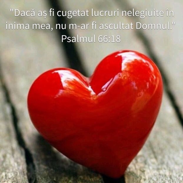A50061A2-04C5-439A-8397-F15A98A6975E - Minuni din creatia Domnului