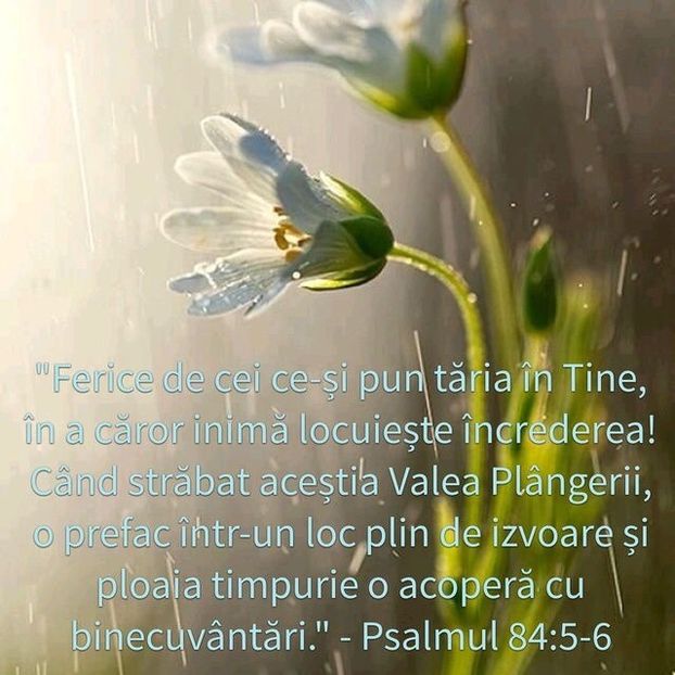 93D7289B-129A-4199-A3FA-C42470DE2CBB - Minuni din creatia Domnului