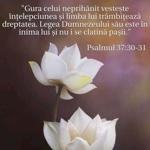 36866E56-D893-4610-9973-0BFACEF07251 - Minuni din creatia Domnului