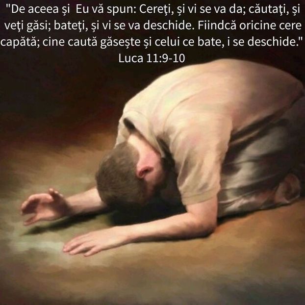 55641469-A94C-4671-8C90-EDF09F158250 - Minuni din creatia Domnului