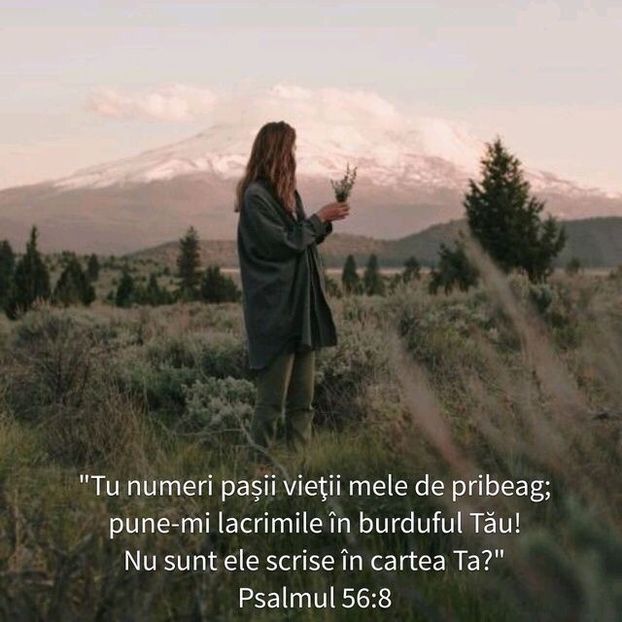74397E80-0945-4013-B1BA-0DFABE8B0032 - Minuni din creatia Domnului