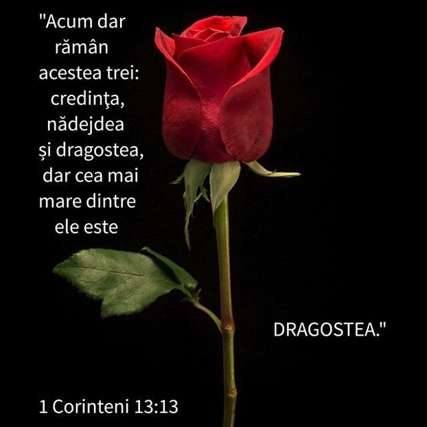 8B393E82-F7E9-40E5-81C7-8748DBC44BF8 - Minuni din creatia Domnului