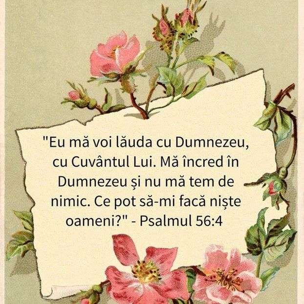 0041788B-3D2C-4DD2-A4B3-F00CE47AD696 - Minuni din creatia Domnului