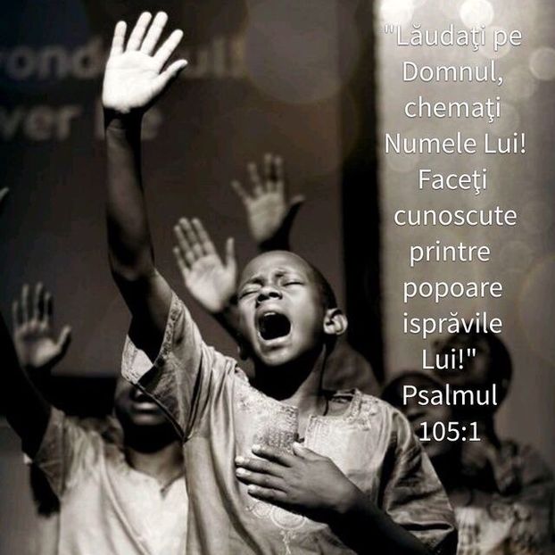 8BE5606B-C82A-40F5-835F-EE59225FED01 - Minuni din creatia Domnului