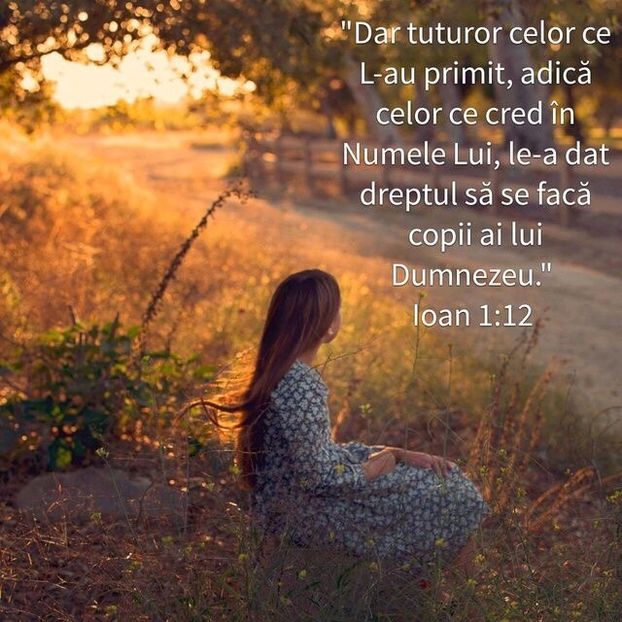 E9EBF354-E090-4759-96CA-63FE06862CE3 - Minuni din creatia Domnului