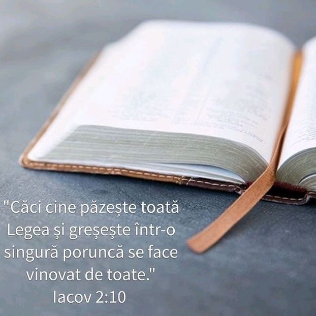57138983-7066-461E-865B-31B77BF95623 - Minuni din creatia Domnului