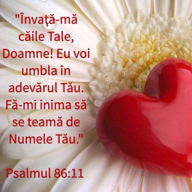E90C40B6-A003-4555-9668-32B13BDA3805 - Minuni din creatia Domnului