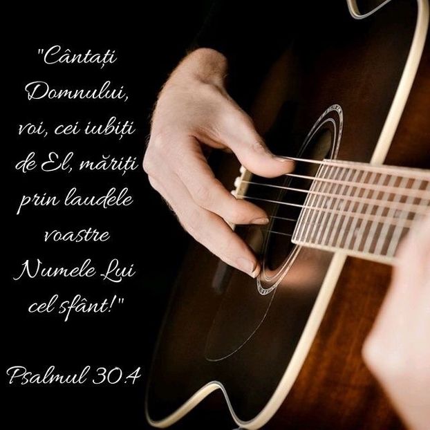 6C1D2824-C90A-4399-B609-002163F7FFA1 - Minuni din creatia Domnului
